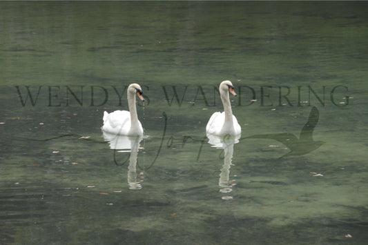 Reflections in Stillness-Photography Print