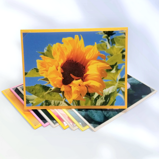 Garden Greetings-8 Pack Notecard Set