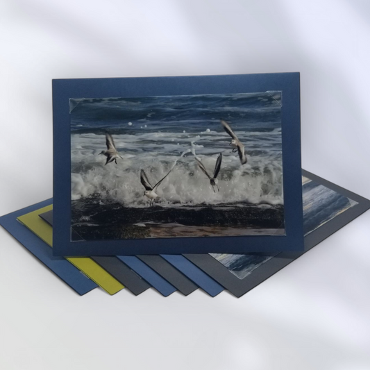 Flagler Beach Serenity – 8 Pack Card Set