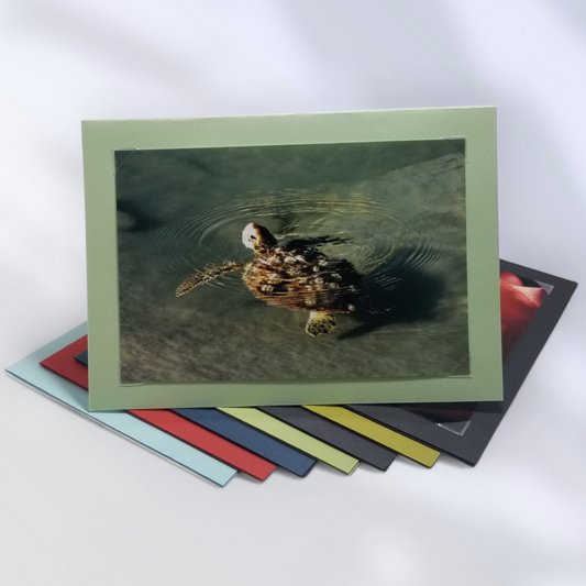 Nature's Wonders – 8 Pack Card Set