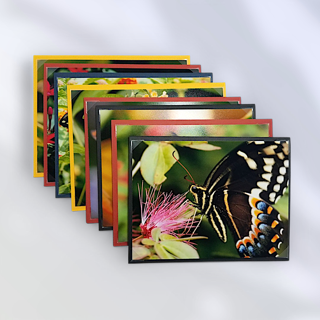 Chasing Butterflies-8 Pack Notecard Set