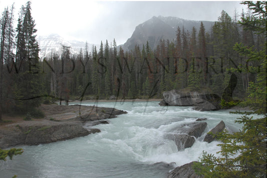 Rushing Wild-Photography Card
