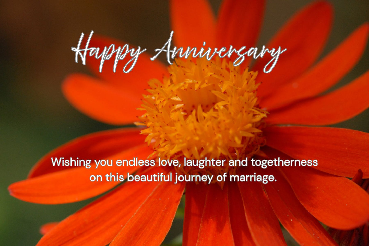 Blooming Together- Anniversary Photography Card