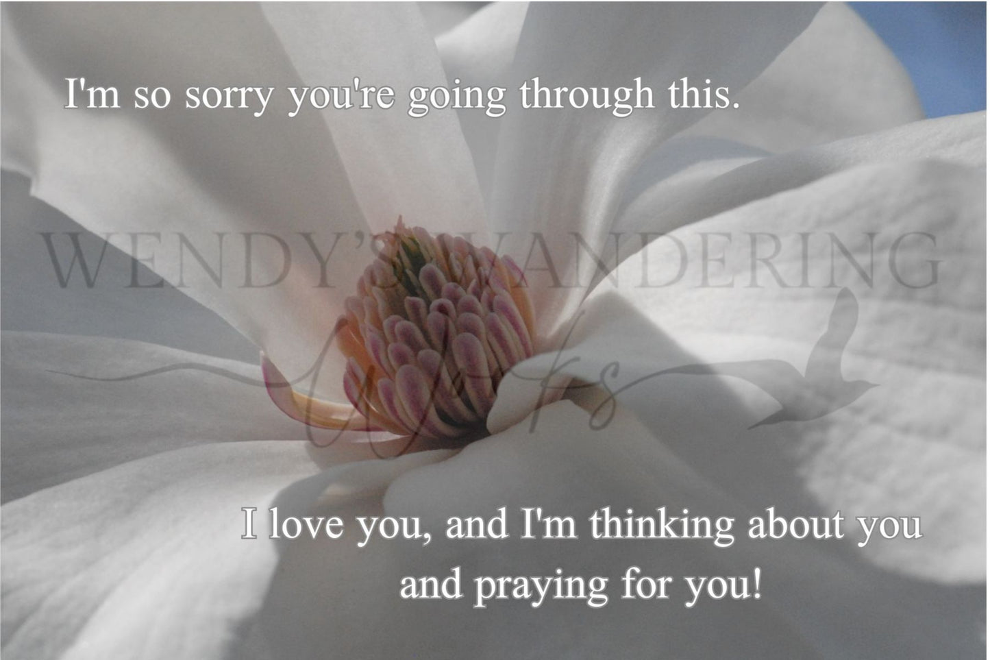 Held in Light-Sympathy Photography Card