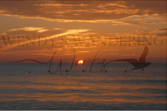 Golden Ascent-Photography Card