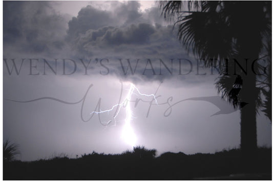 Electric Vain-Photography Card