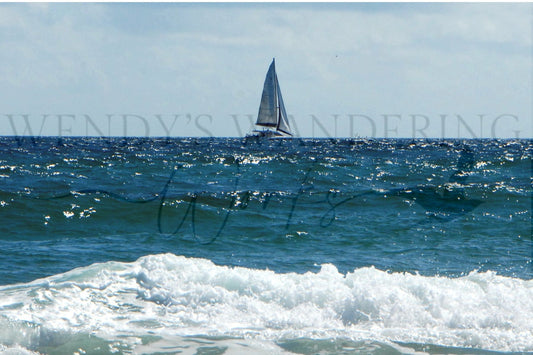Ocean Grace-Photography Card
