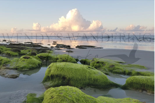 Spring Tide-Photography Card