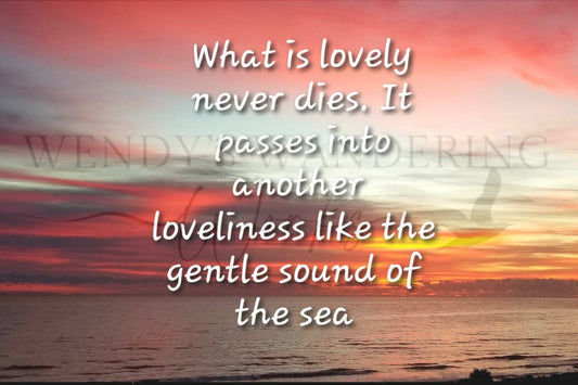 Another Loveliness-Sympathy Photography Card