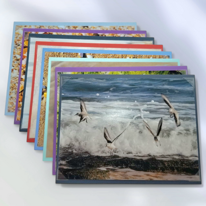 A Day at the Beach – 8 Pack Notecard Set