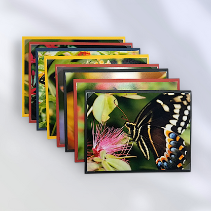 Chasing Butterflies-8 Pack Notecard Set