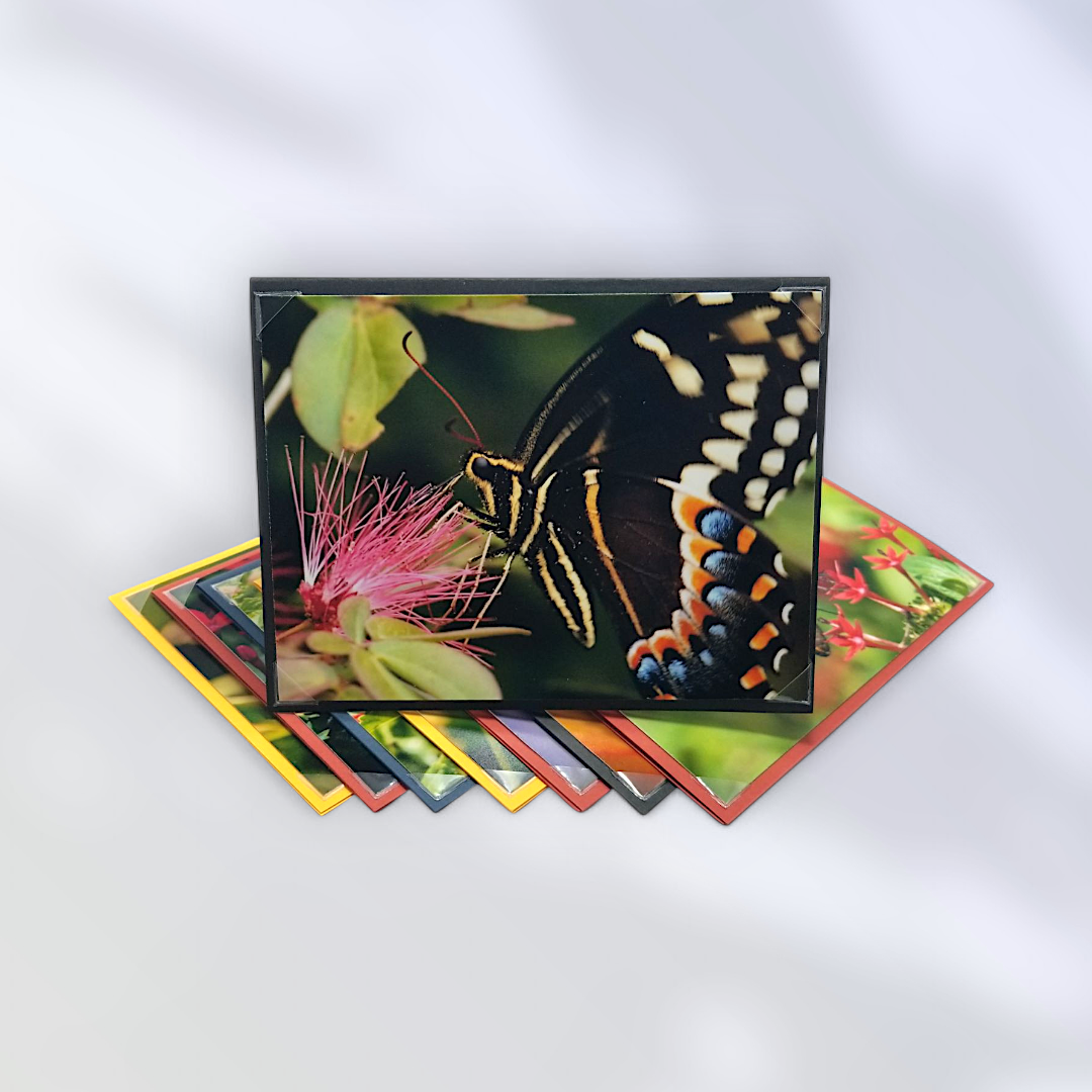Chasing Butterflies-8 Pack Notecard Set