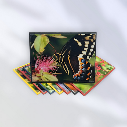 Chasing Butterflies-8 Pack Notecard Set