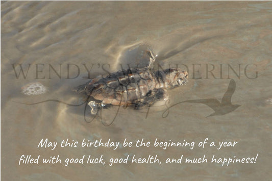 A Bright Beginning-Birthday Photography Card