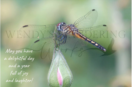 A Dash of Delight-Birthday Photography Card