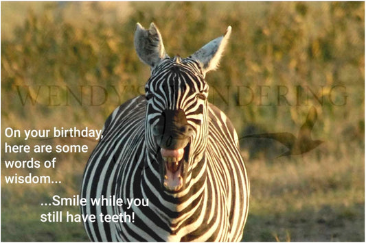 Tooth Be Told-Birthday Photography Card