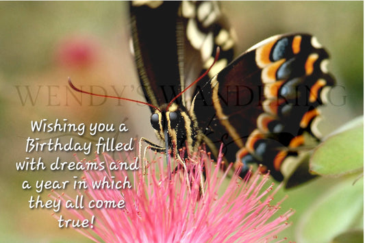Wings of Wishes-Birthday Photography Card