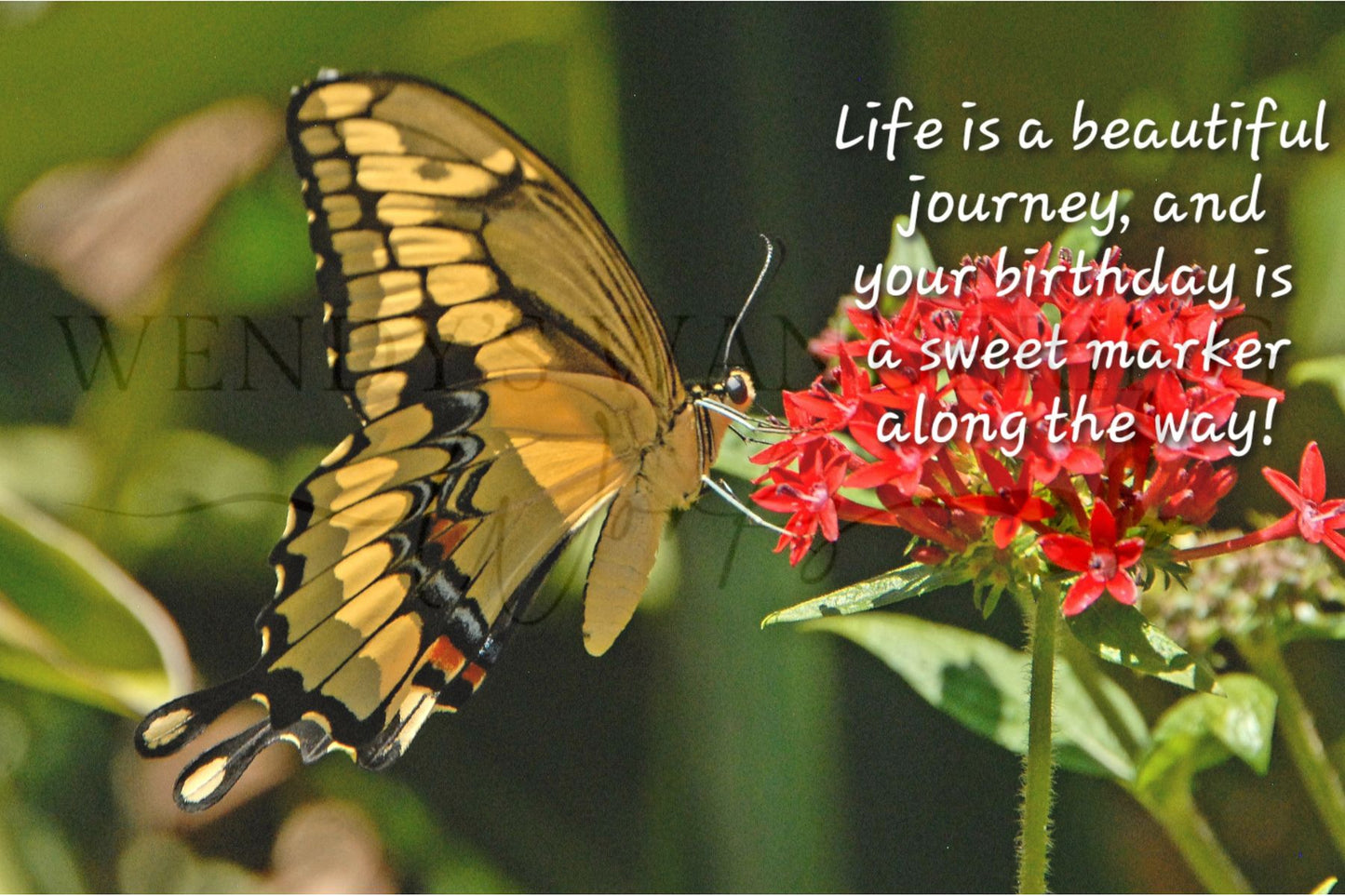 A Beautiful Journey-Birthday Photography Card