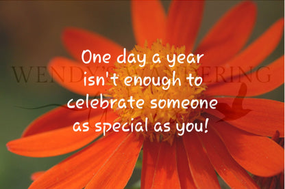 More Then One Day-Birthday Photography Card