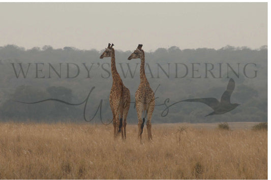 In Sync-Photography Print