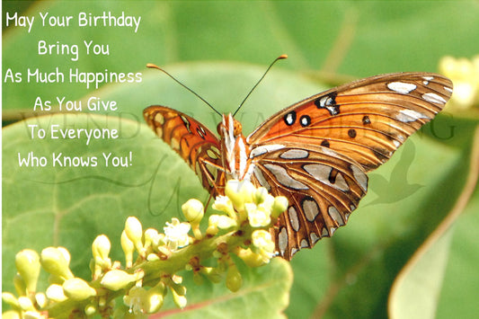 Wings of Happiness-Birthday Photography Card