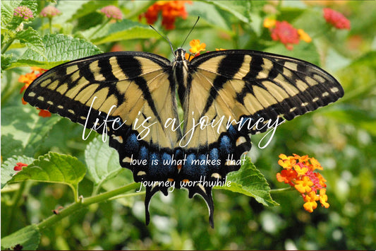 Journey of love - Photography Anniversary Card