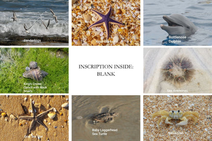 A Day at the Beach – 8 Pack Notecard Set