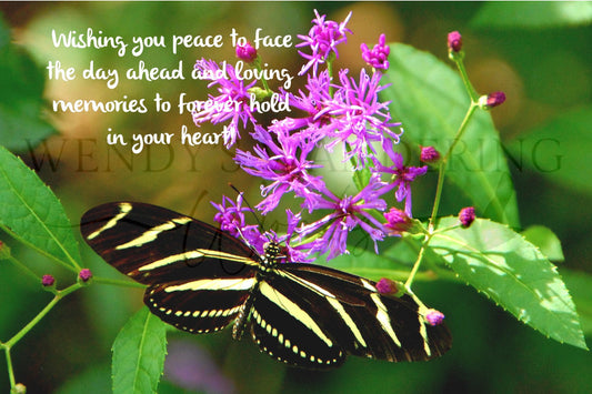 Whispers of Peace-Sympathy Photography Card